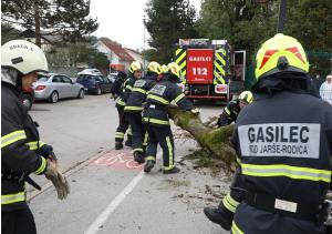vajacz2019vido (12)
